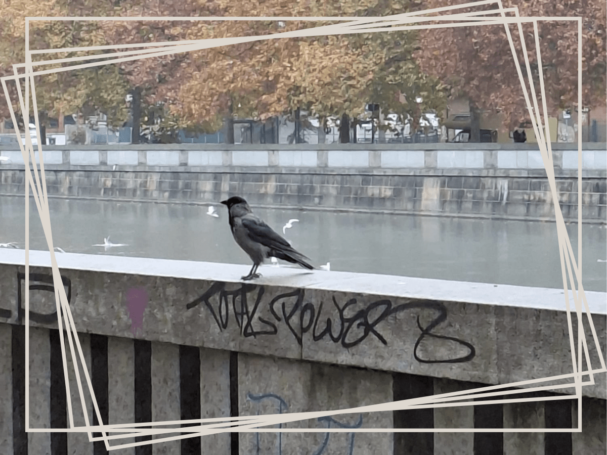 In visita alla Città del&nbsp;Corvo